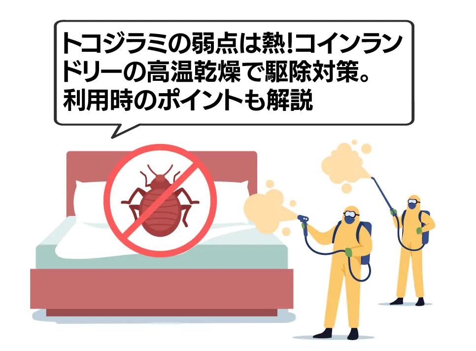 コインランドリー　トコジラミ　バナー